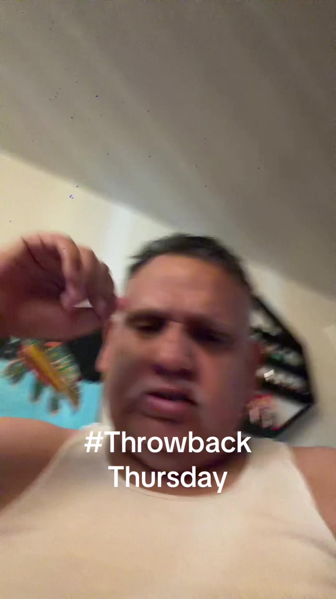 @abel turtle