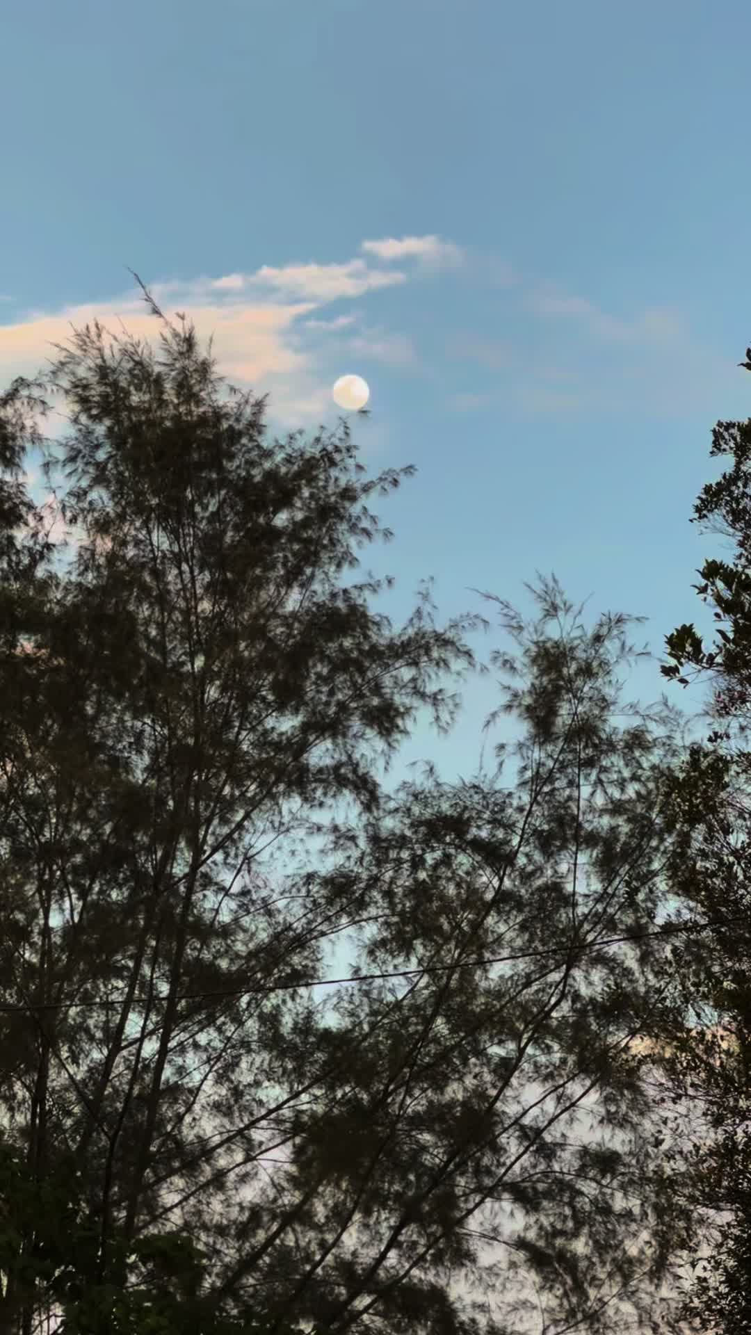 @𝐓𝐄𝐄𝐊𝐀𝐇
