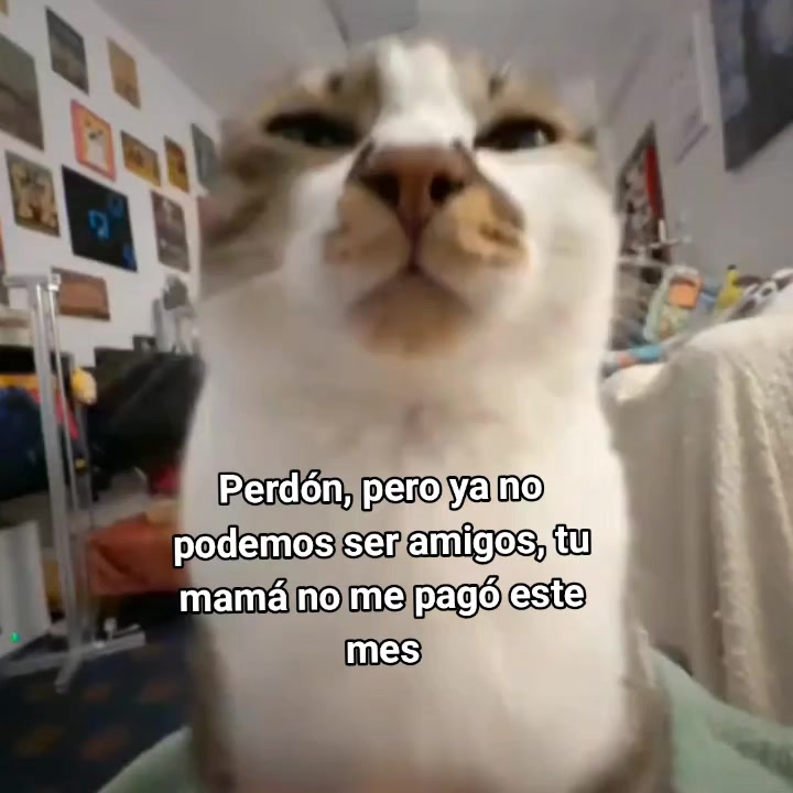 @goodvibessxd