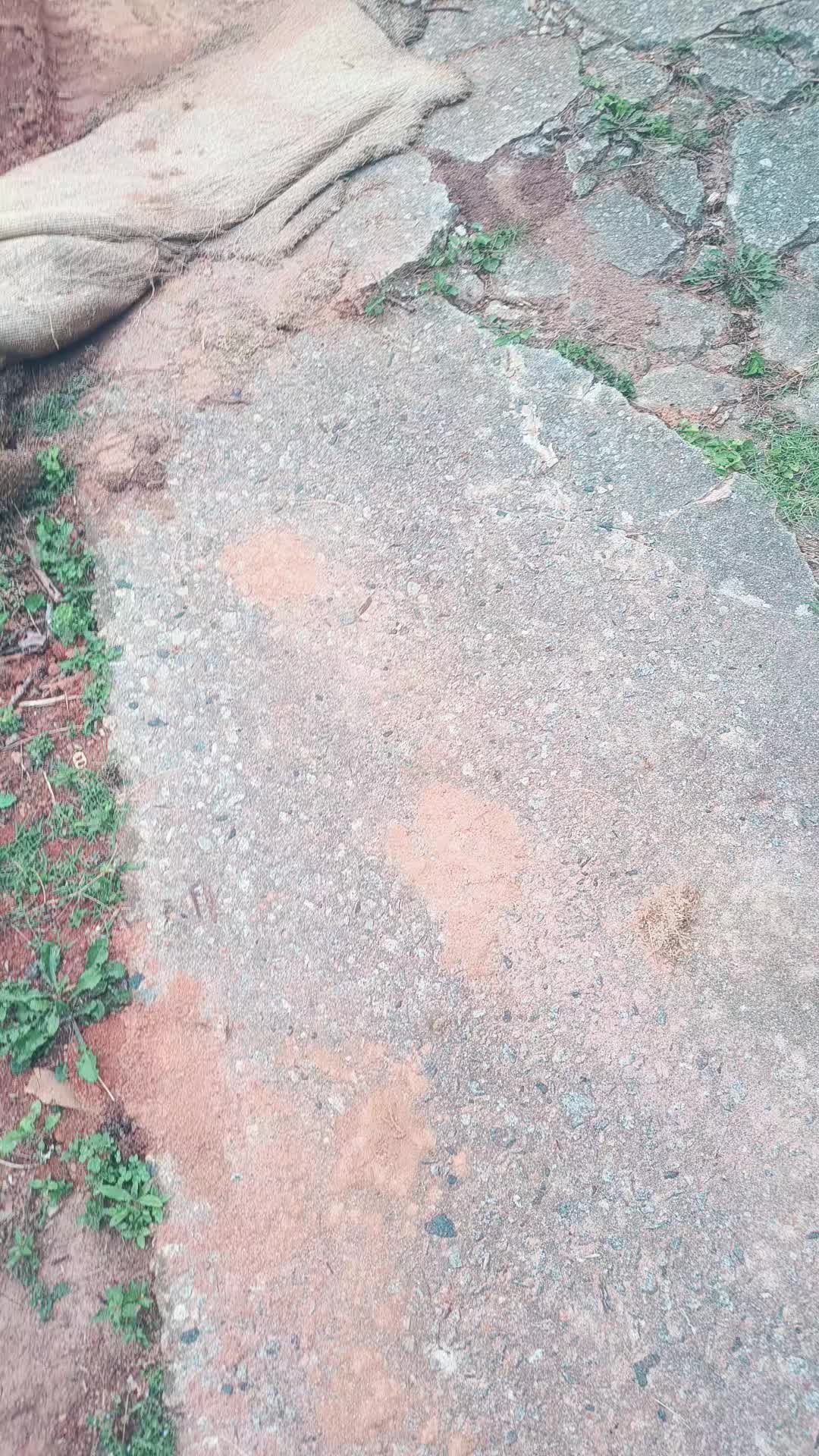 @chavalon93 101012