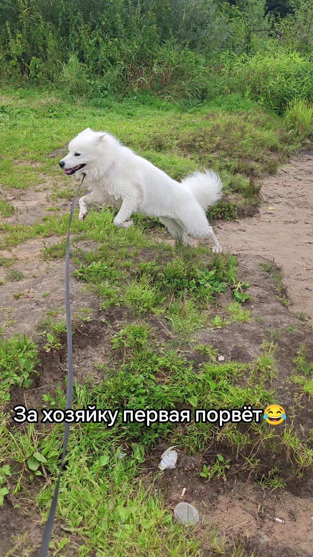 @🇧🇾👋Mushka and Plyshka👋🇧🇾