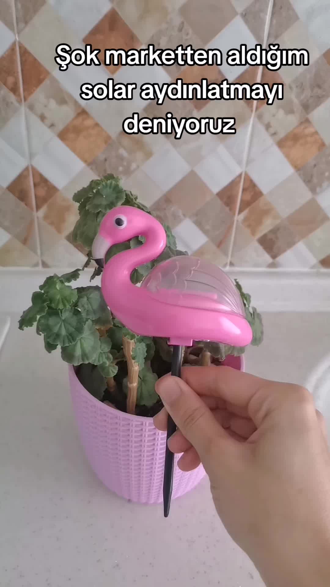 @🪐ŞeBo🪐