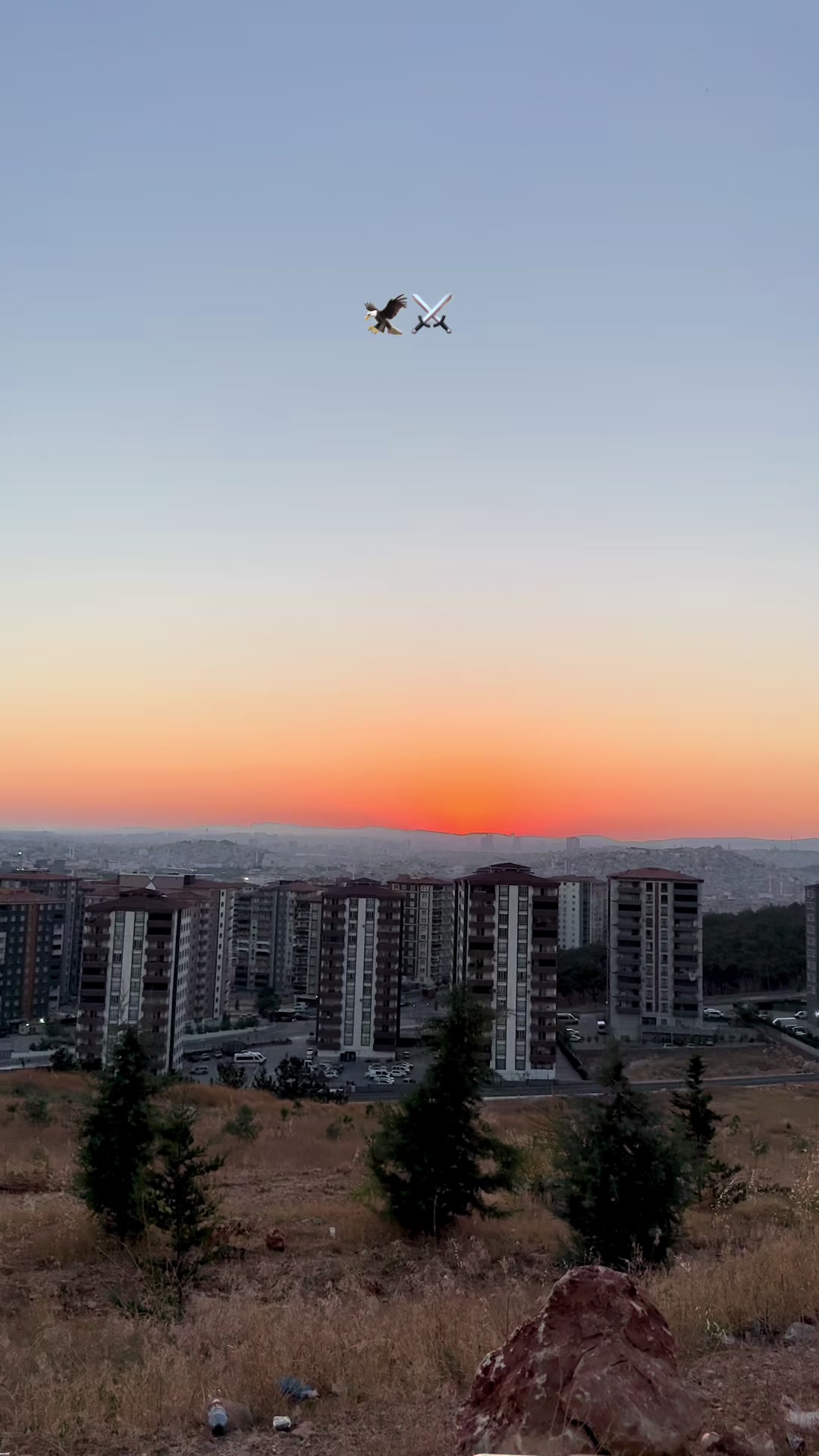@𝒟𝐼̇𝒴𝒜𝑅🪽