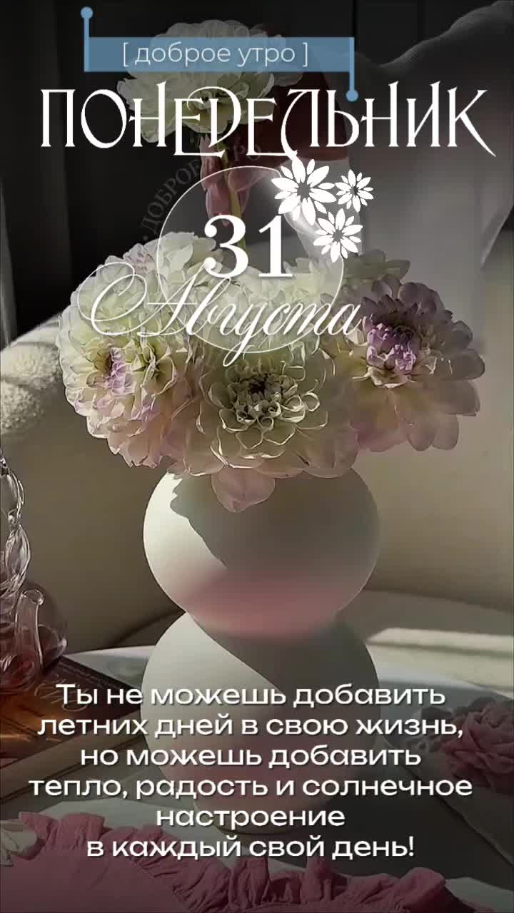 @꧁༺ 𝓞𝓵𝓰𝓪_𝓿.𝓭 ༻꧂