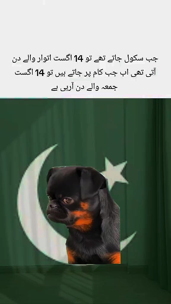 @UzairXAI