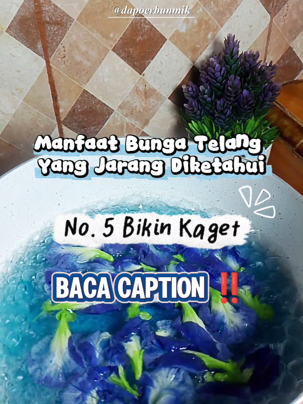 @dapoerbunmik