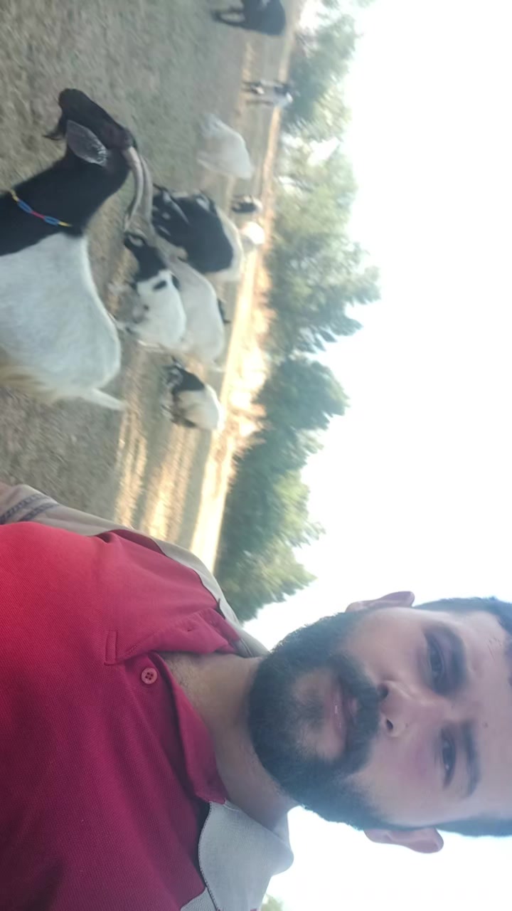 @Hilmi Öztürk
