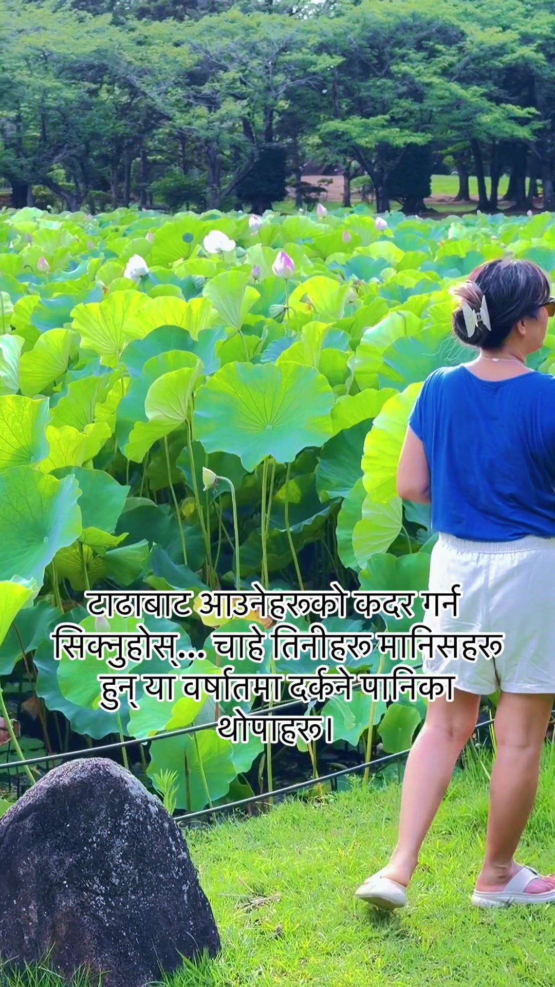 @शना महर्जन (サナ)