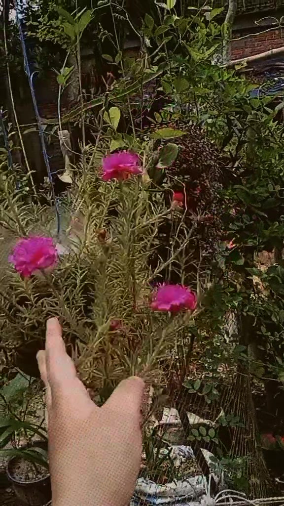 @&reg;&reg;__&reg;✨💌