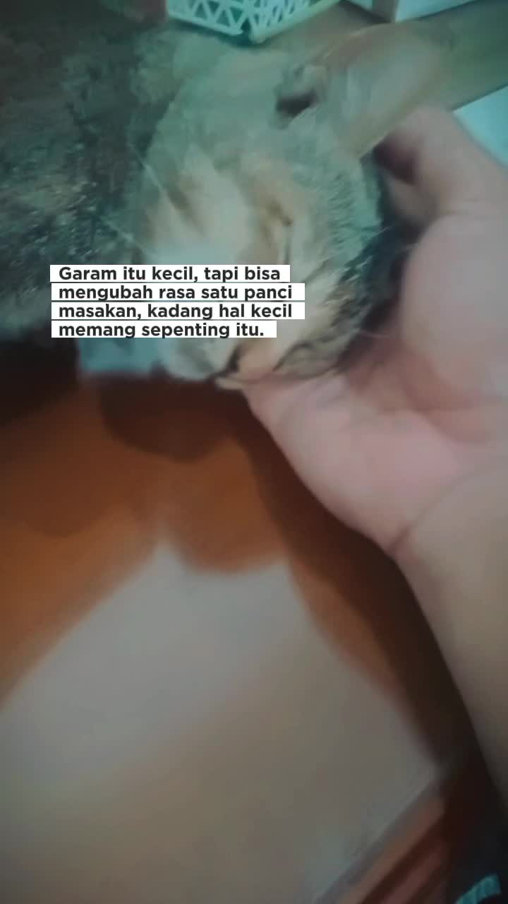 @thinoandikasma