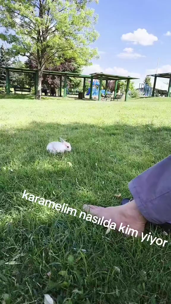@BACIM ÇETİN