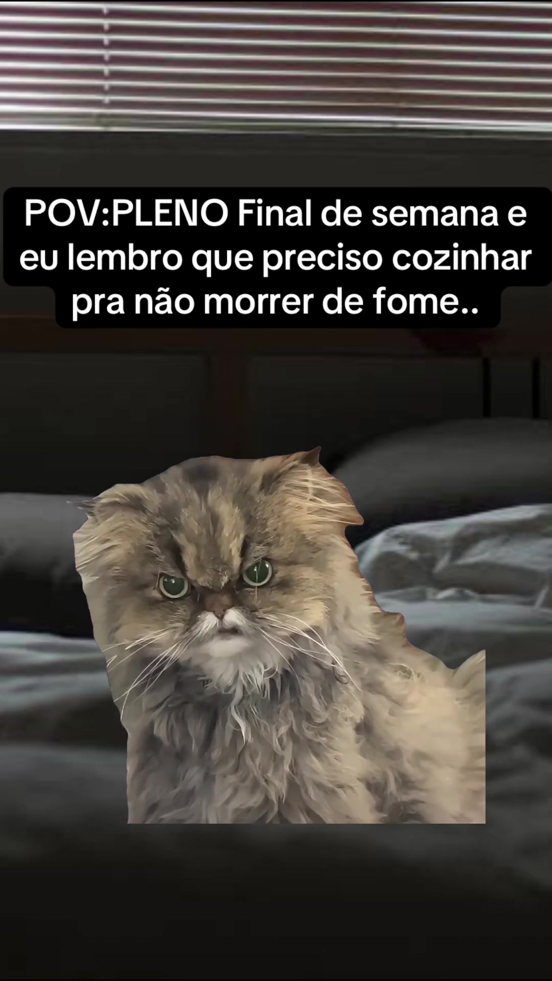 @Garimpei pra você