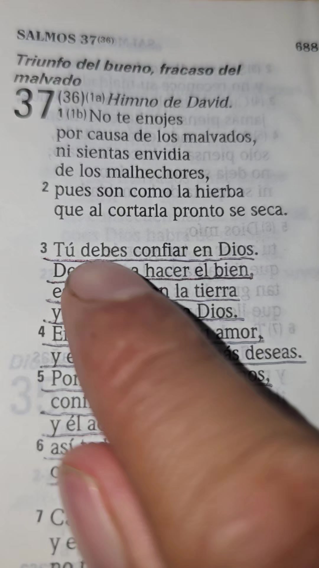 @Palabra de Dios