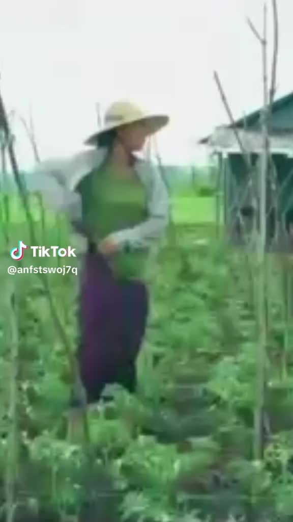@စာရိတ္တ ၂ ရုပ်ရှင် ဇာတ်ကားကြီး