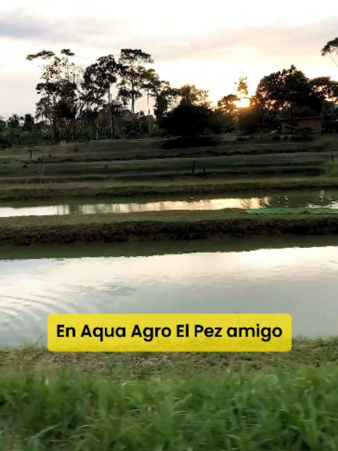 @acua agro