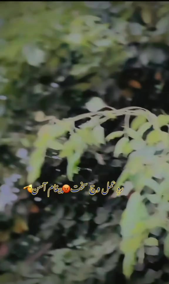 @🖤🖤 *سیاہ بخت یتیم*🖤🖤