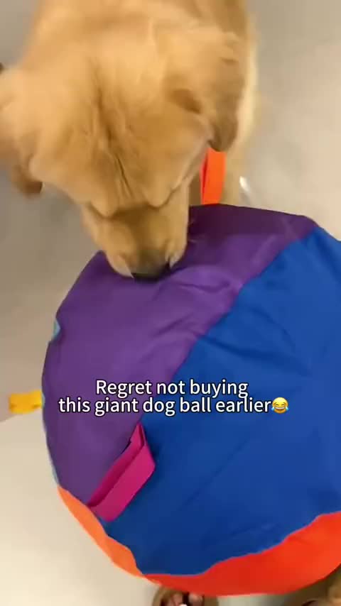 @Golden fam