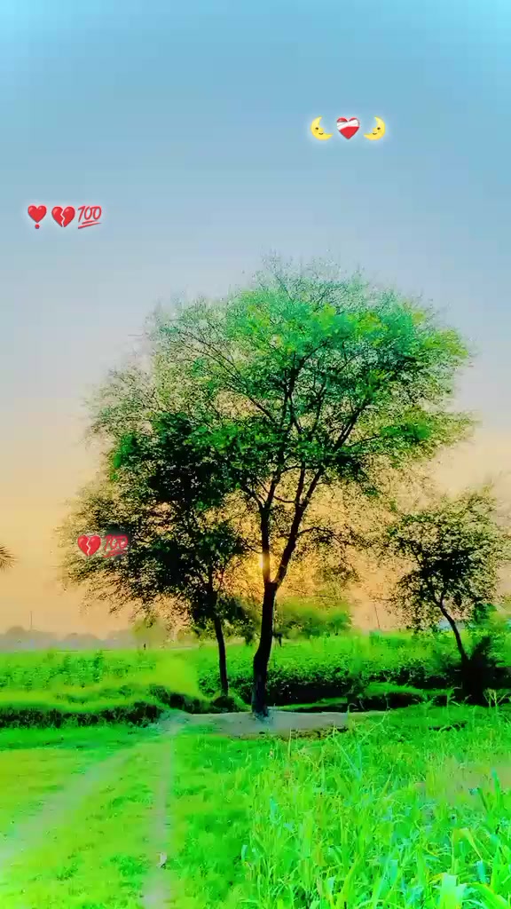 @♥️مرسلین کنہوں⚔️