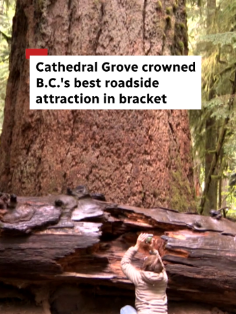 @CBC British Columbia