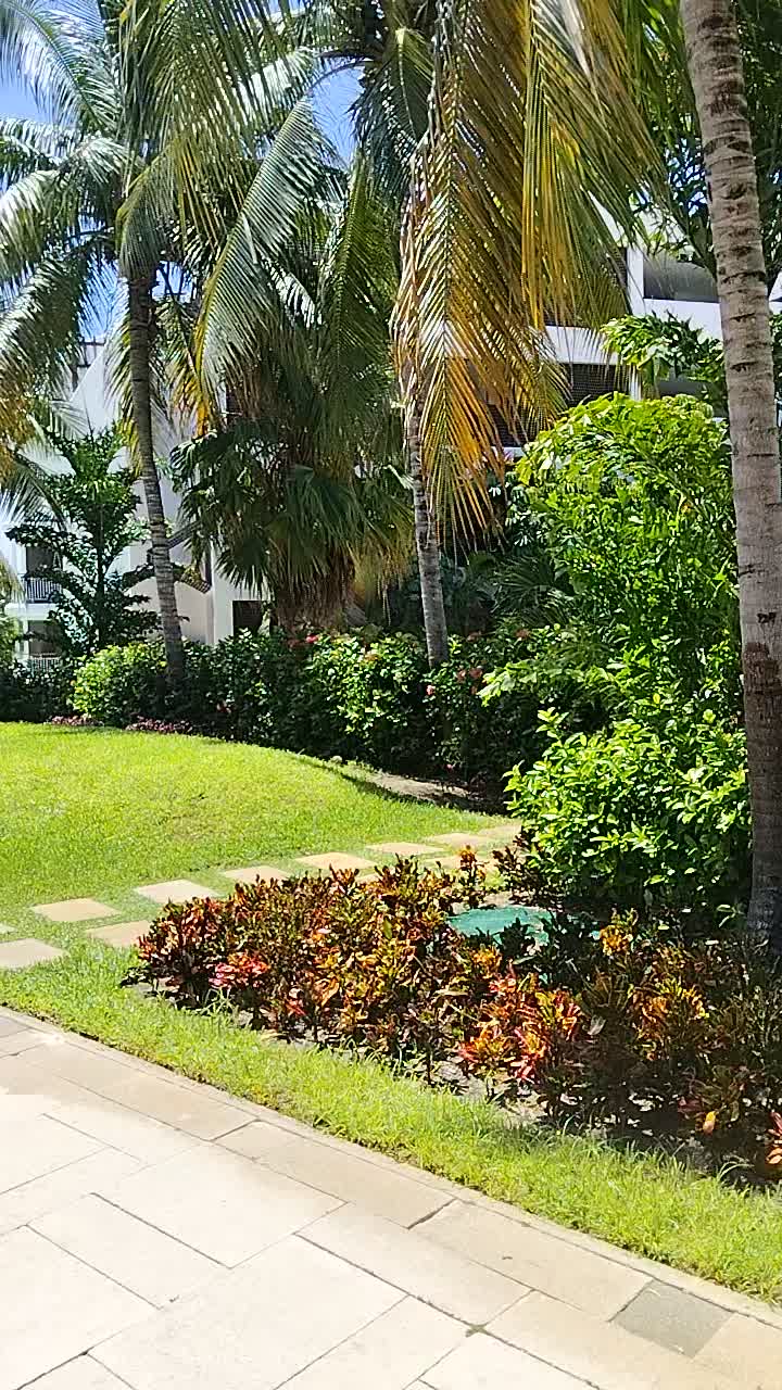 @Roly Decoraciónes