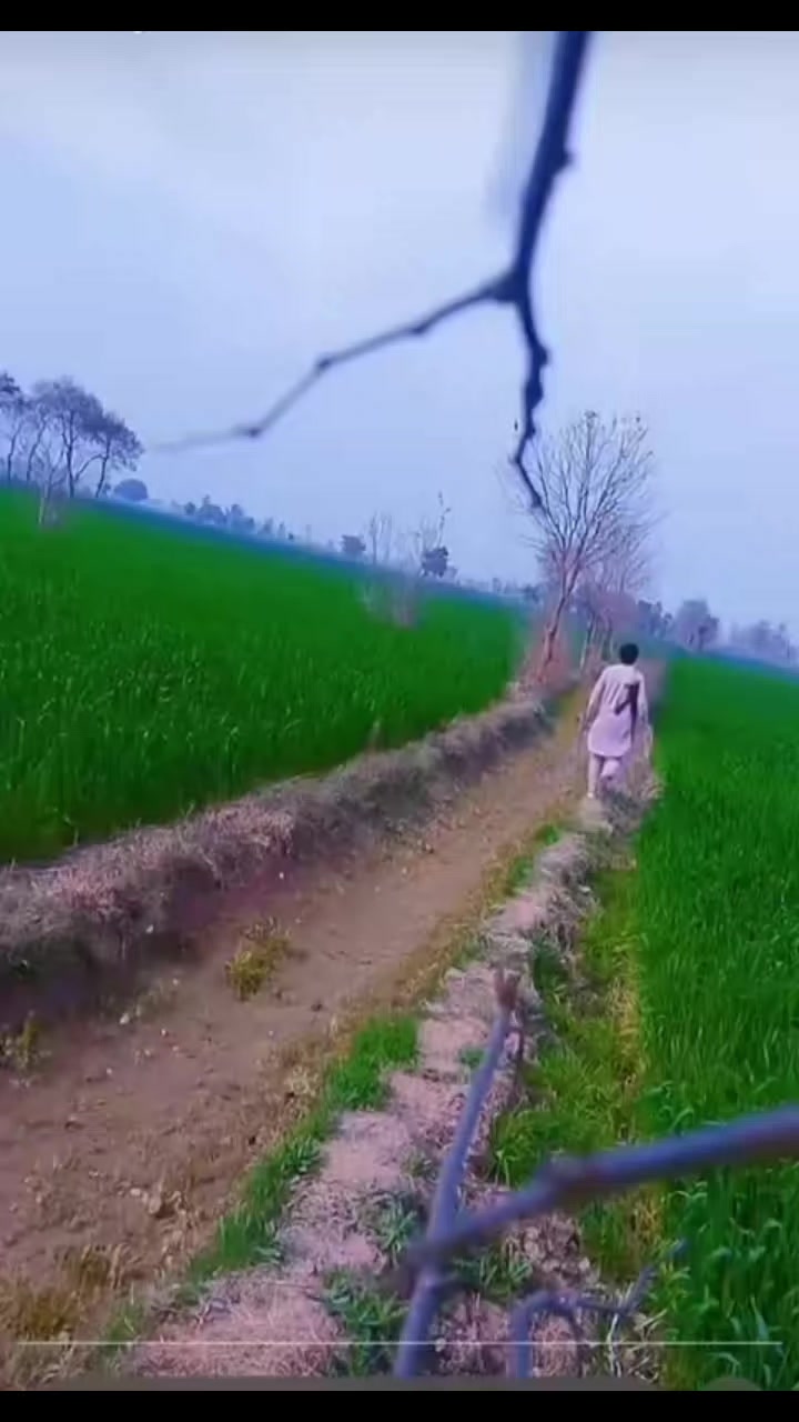 @ashraf ali