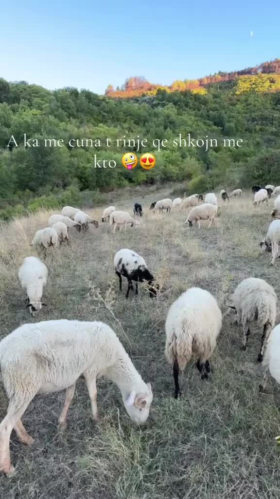 @STANI_COBANIT😍