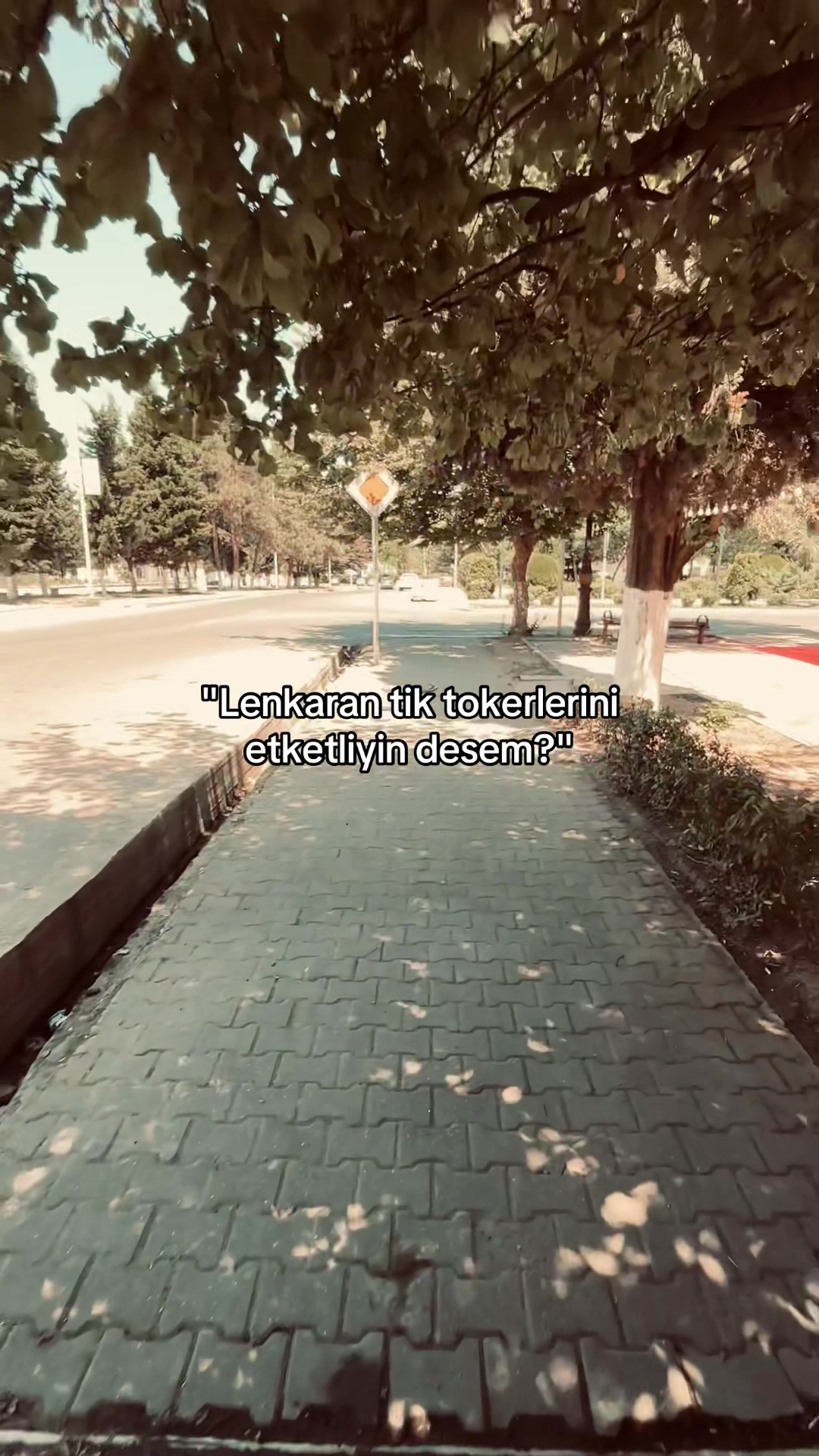 @𝑬𝒍𝒊𝒊✍️