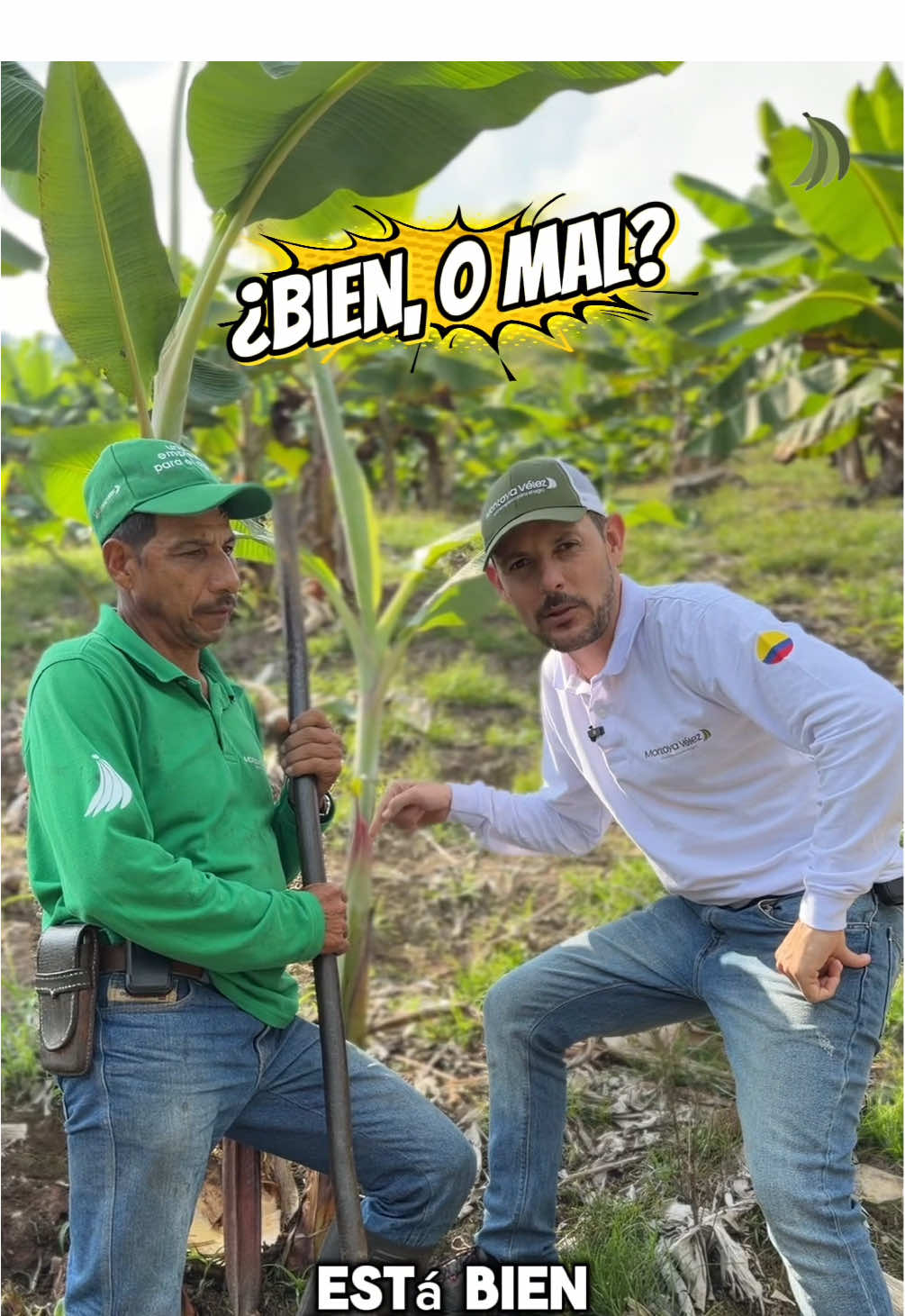 @Montoya Vélez S.A.S