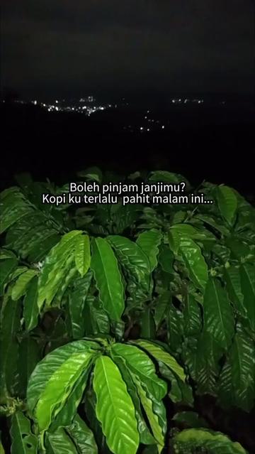 @PetaniMuda