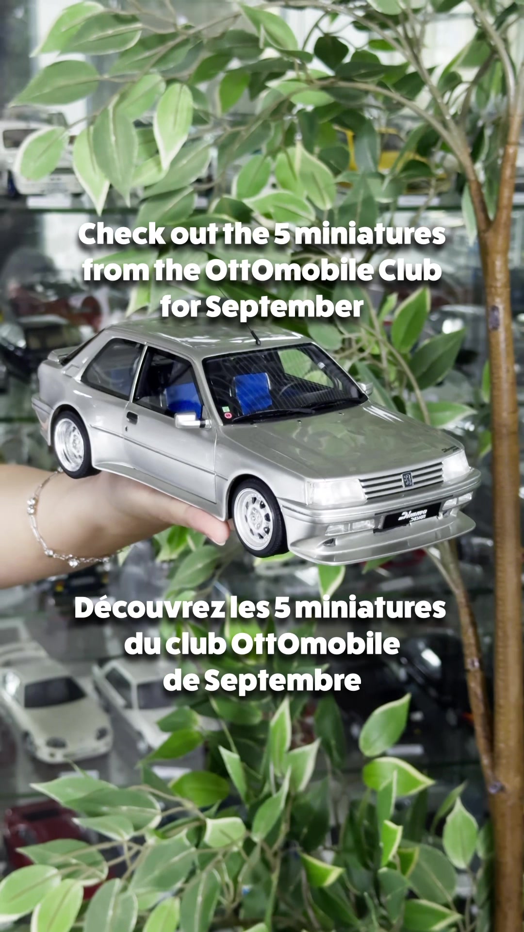 @Ottomobile - Modelcar