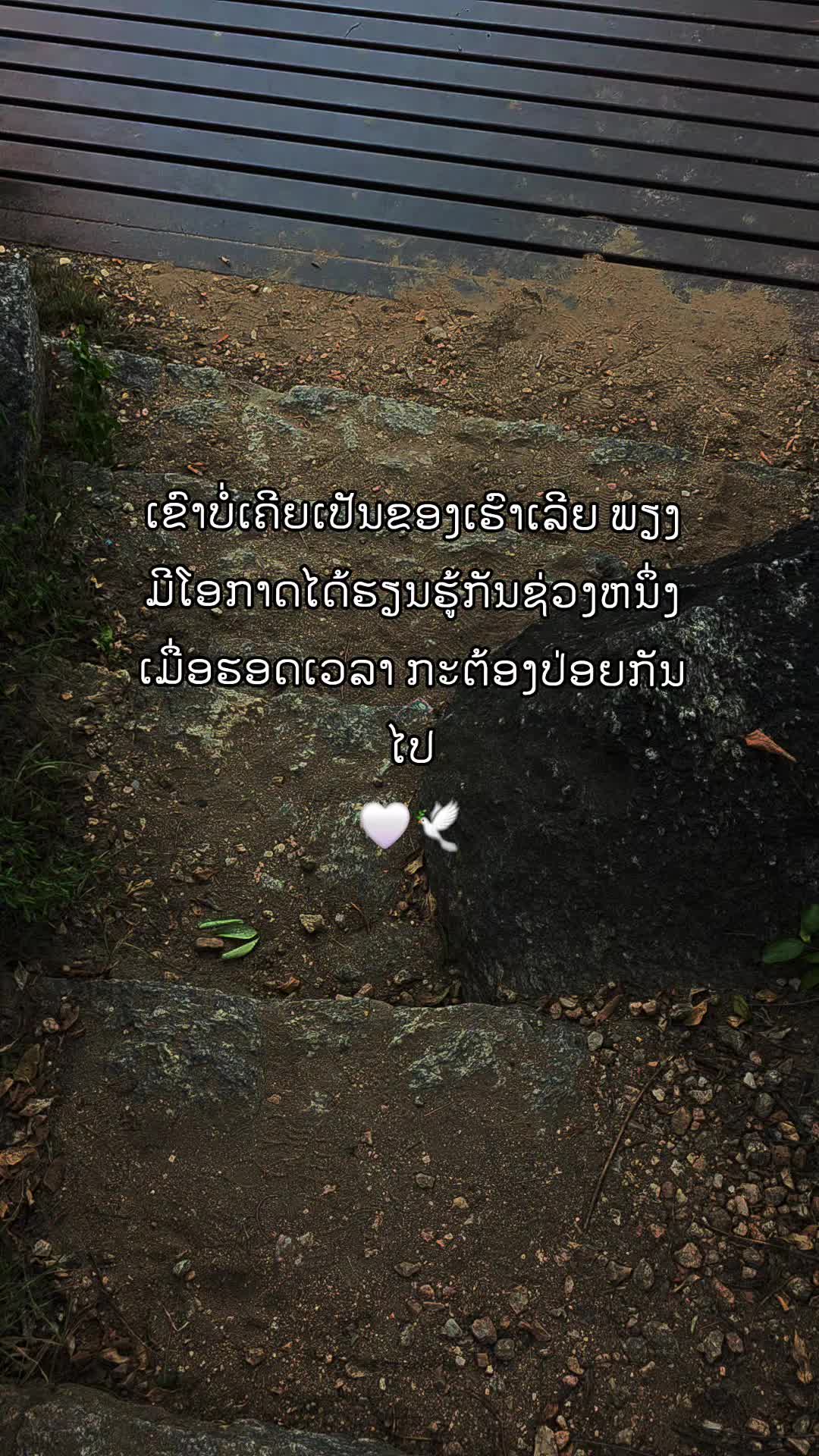 @ສ້າງຍ້ອນອົກຫັກTN007