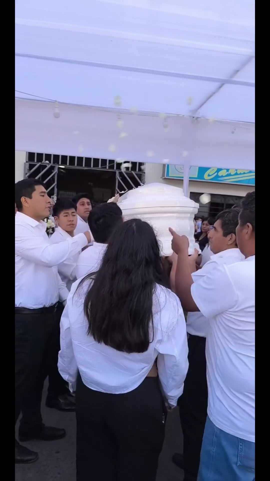 @SerenataGrone-La12