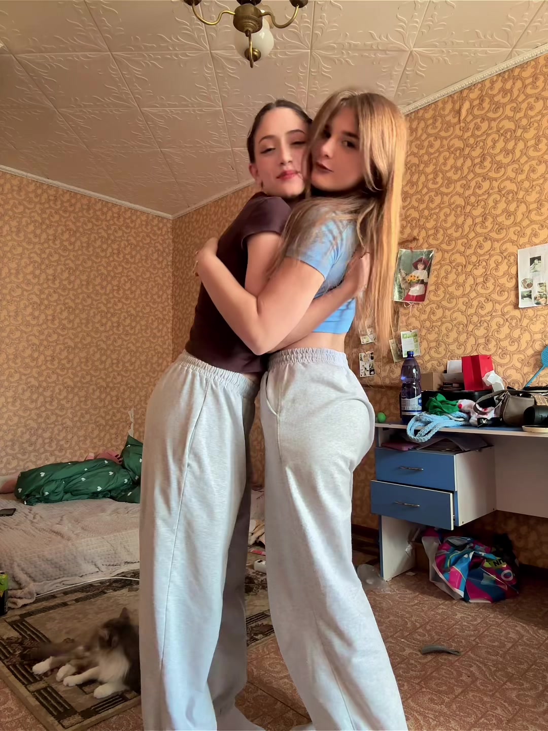@Дианочка Репкина