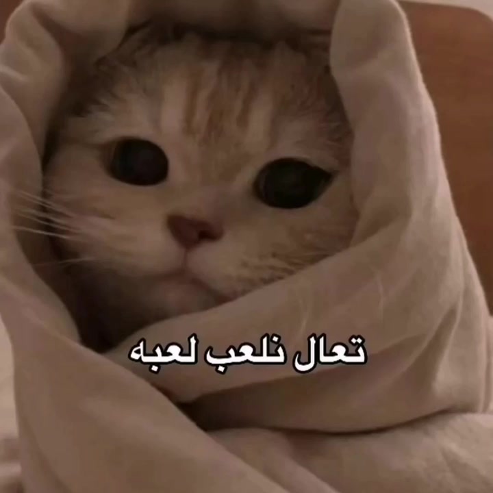 @𓆩❀❥🚶🏼♀️😔 أنا لست هنا❥❀❦𓆪