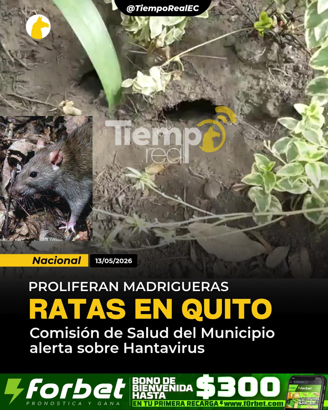 @Tiempo Real EC