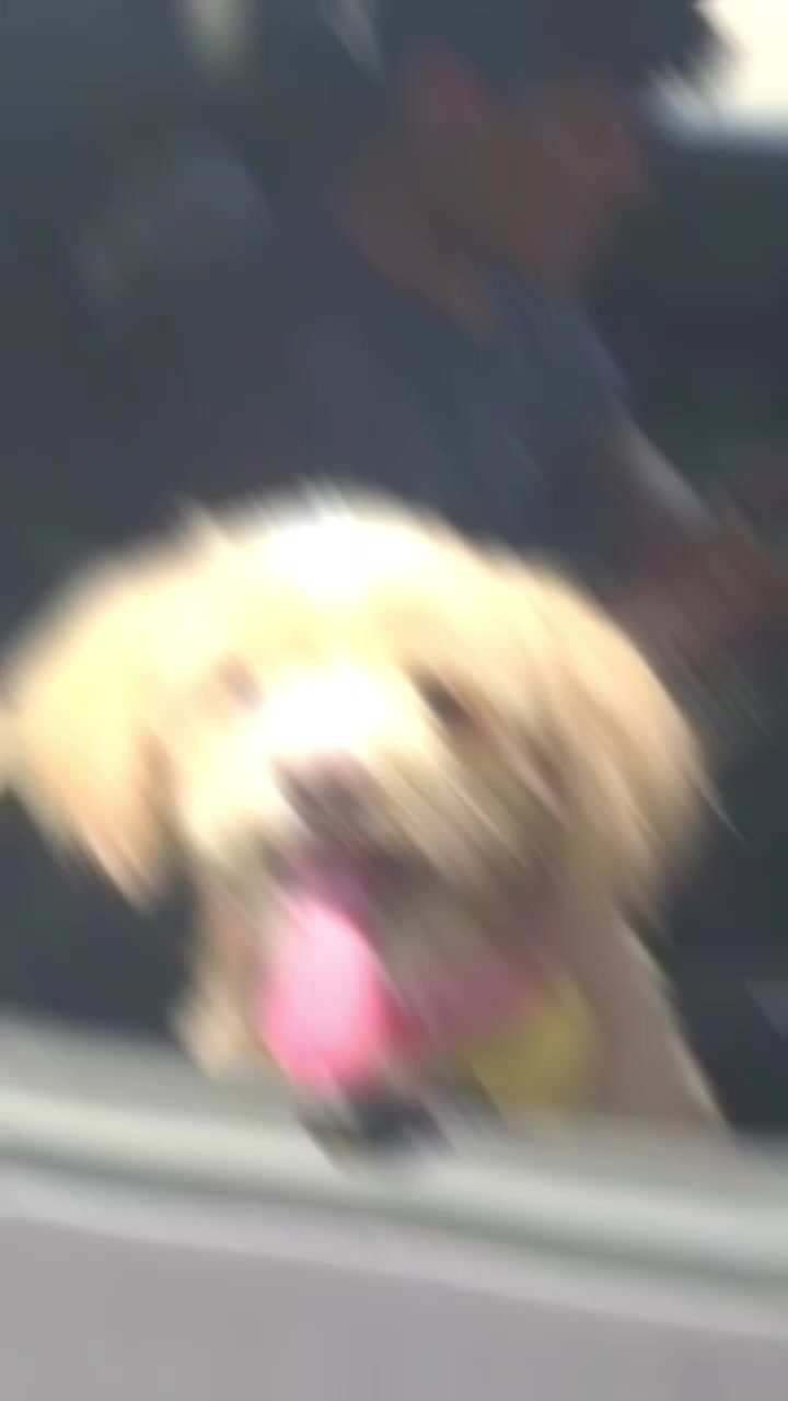 @봄이랑 헤이랑 뀨야랑