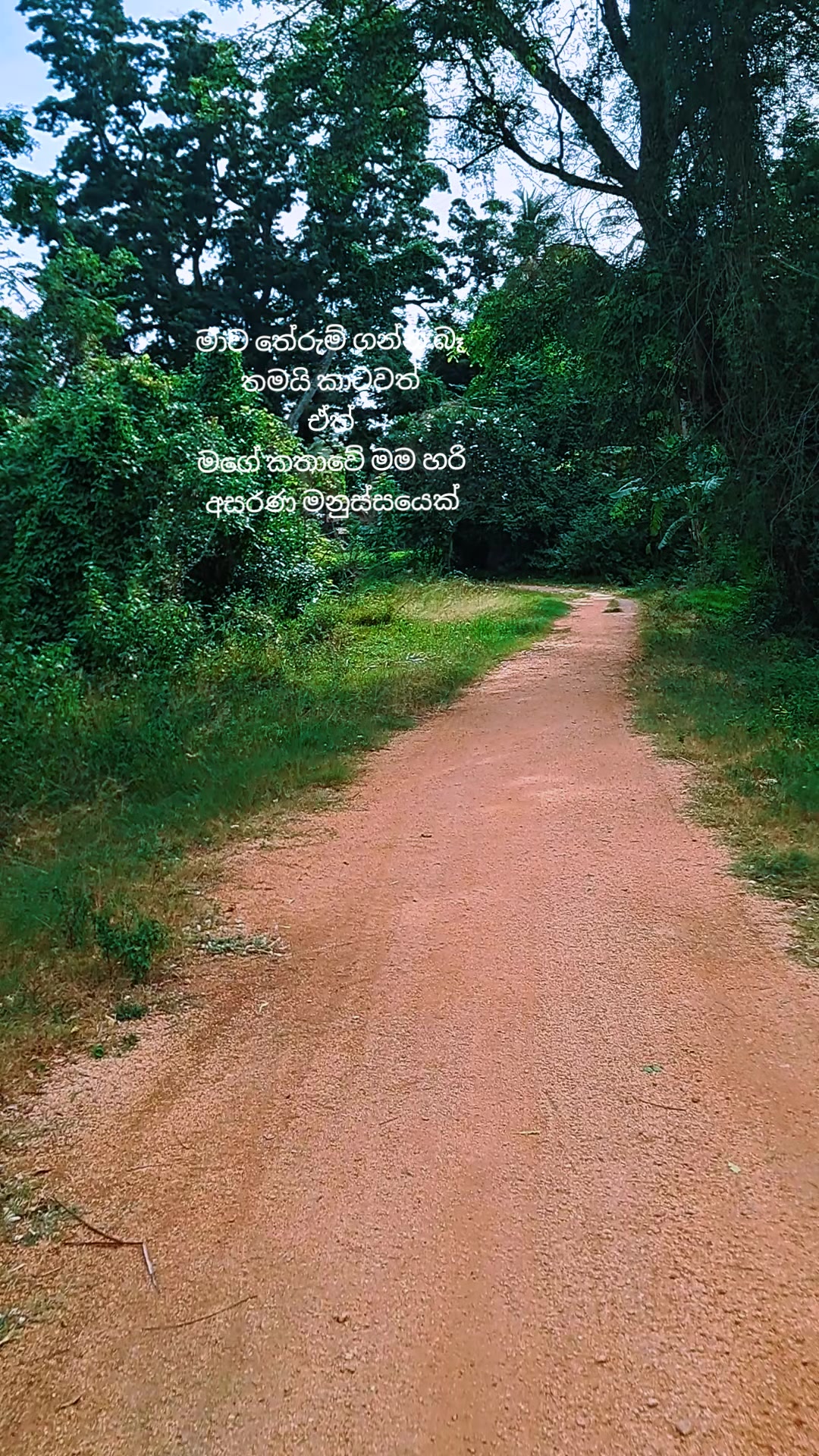 @❤️🤩උමාශි🤩❤️