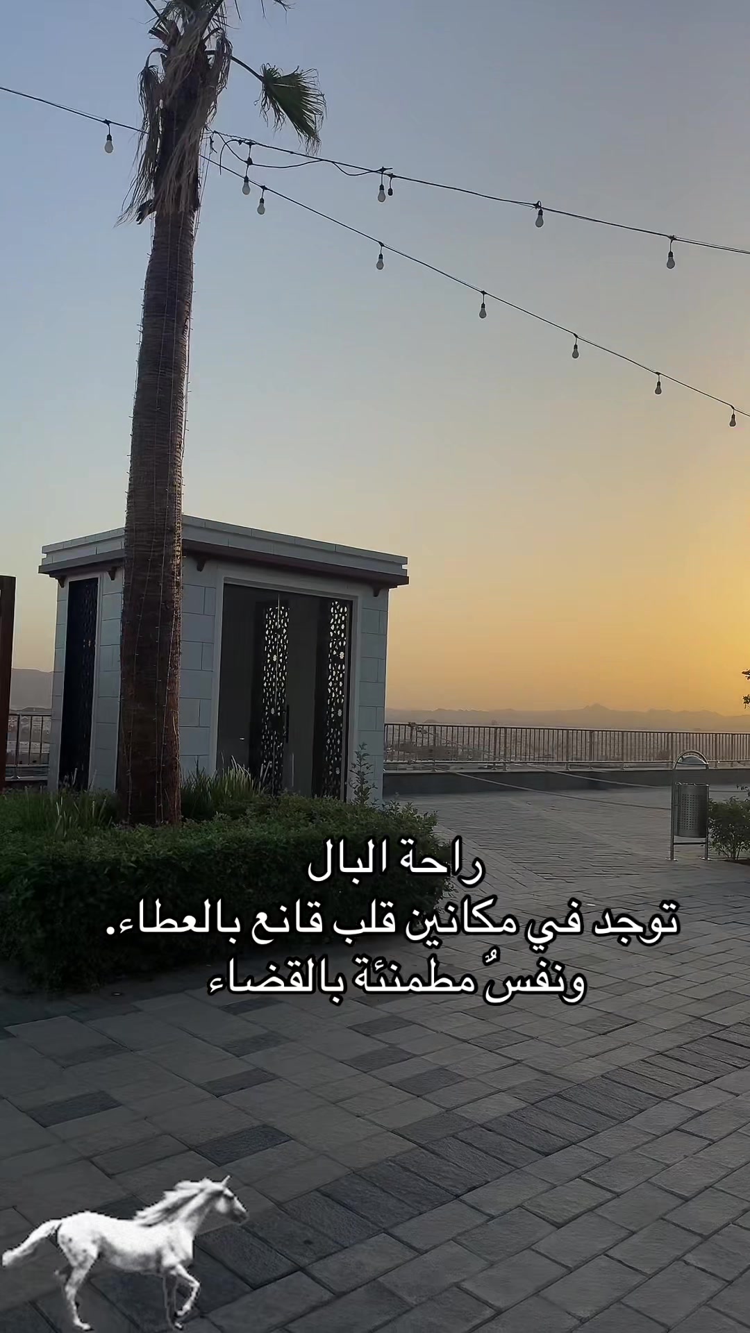 @أغلى ملاك 😀😀