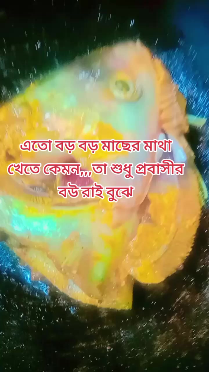 @🥰জামাইয়ের আদরের বউ❤️({ B+W})