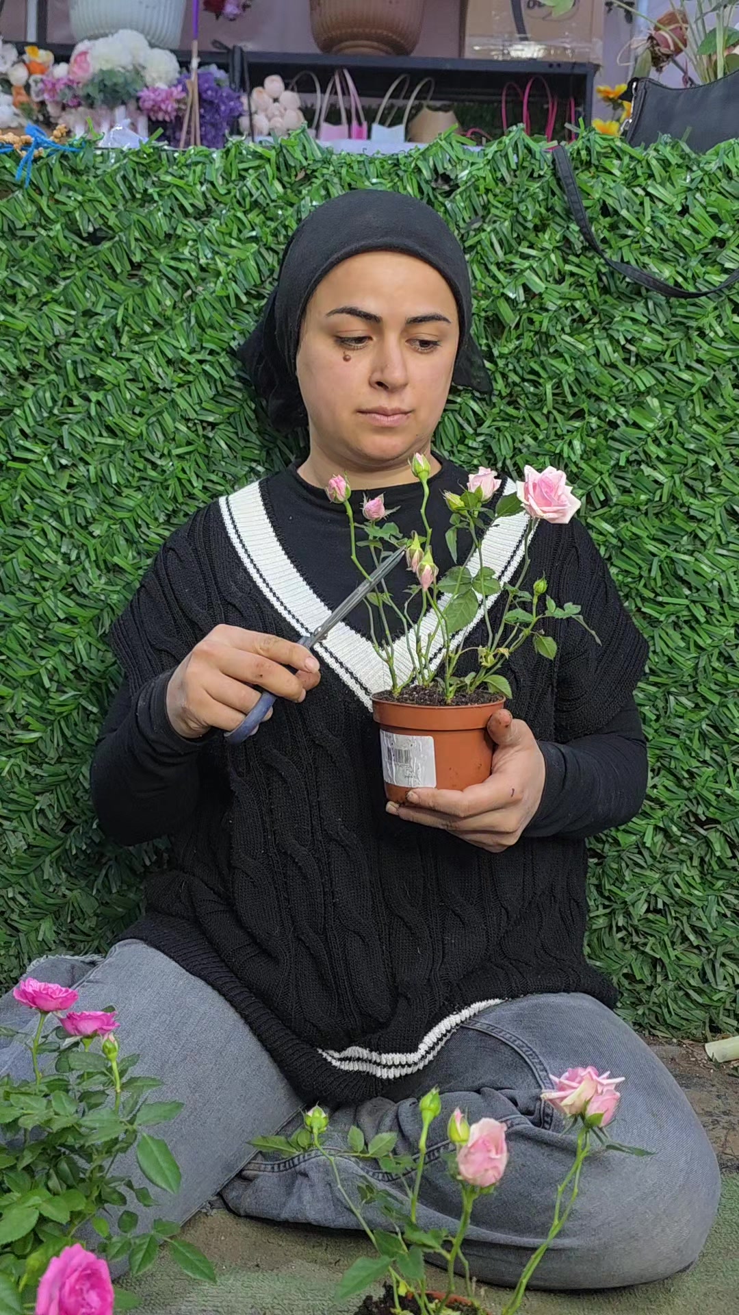 @Botanik bahçesi flora