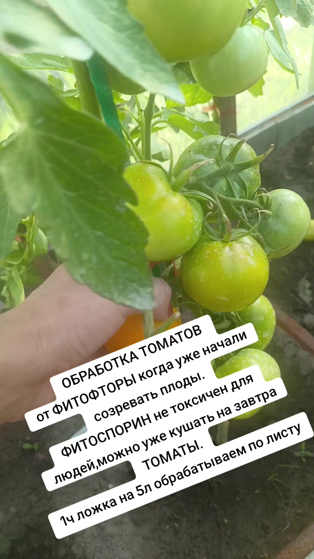 @Оленька