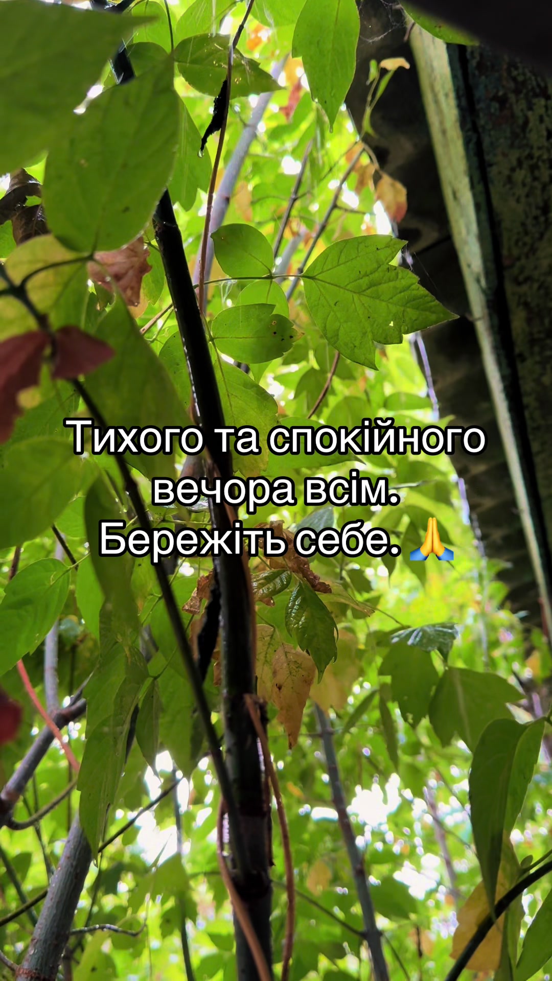 @Юльчик🤪🇺🇦❤️ Харків'янка
