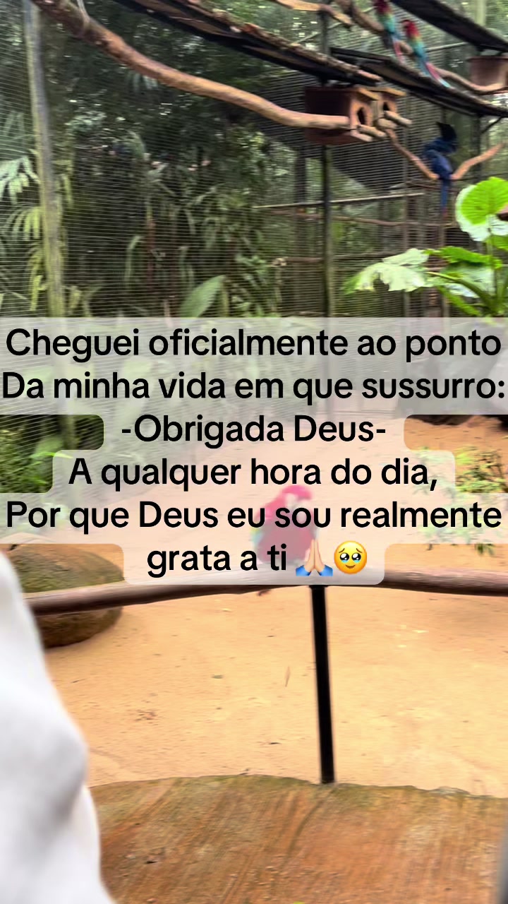 @Denise Queiroz