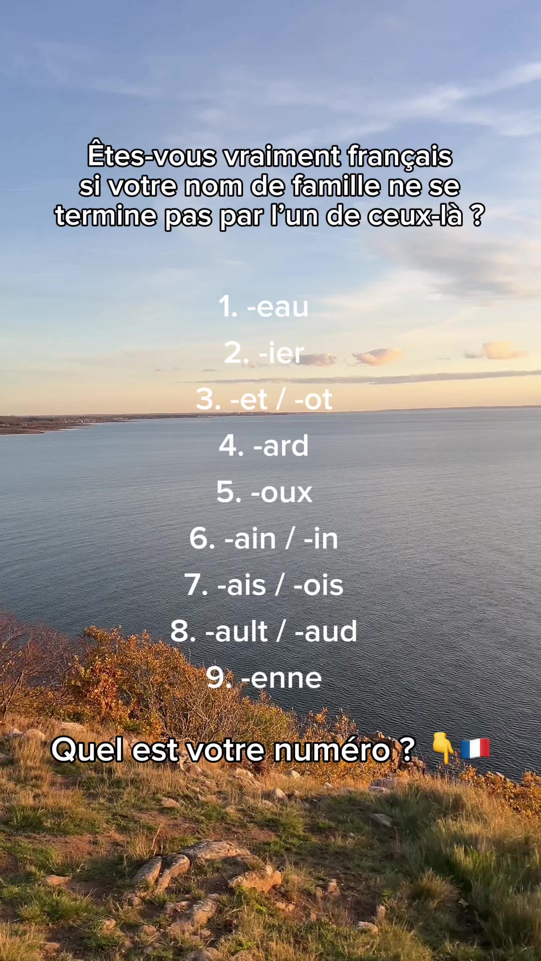 @MyHeritage France