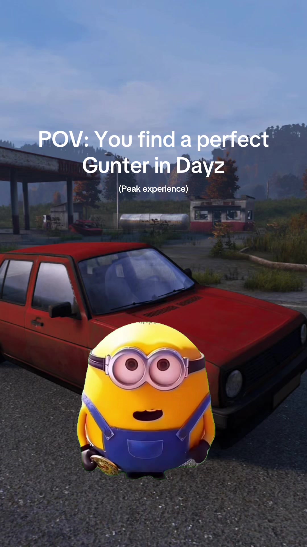 @Dayz me rollin