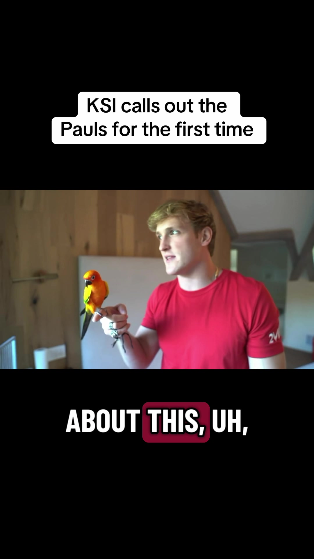 @Logan Paul