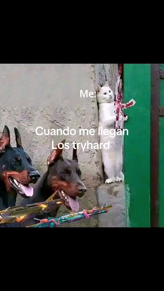 @Soy el Skar