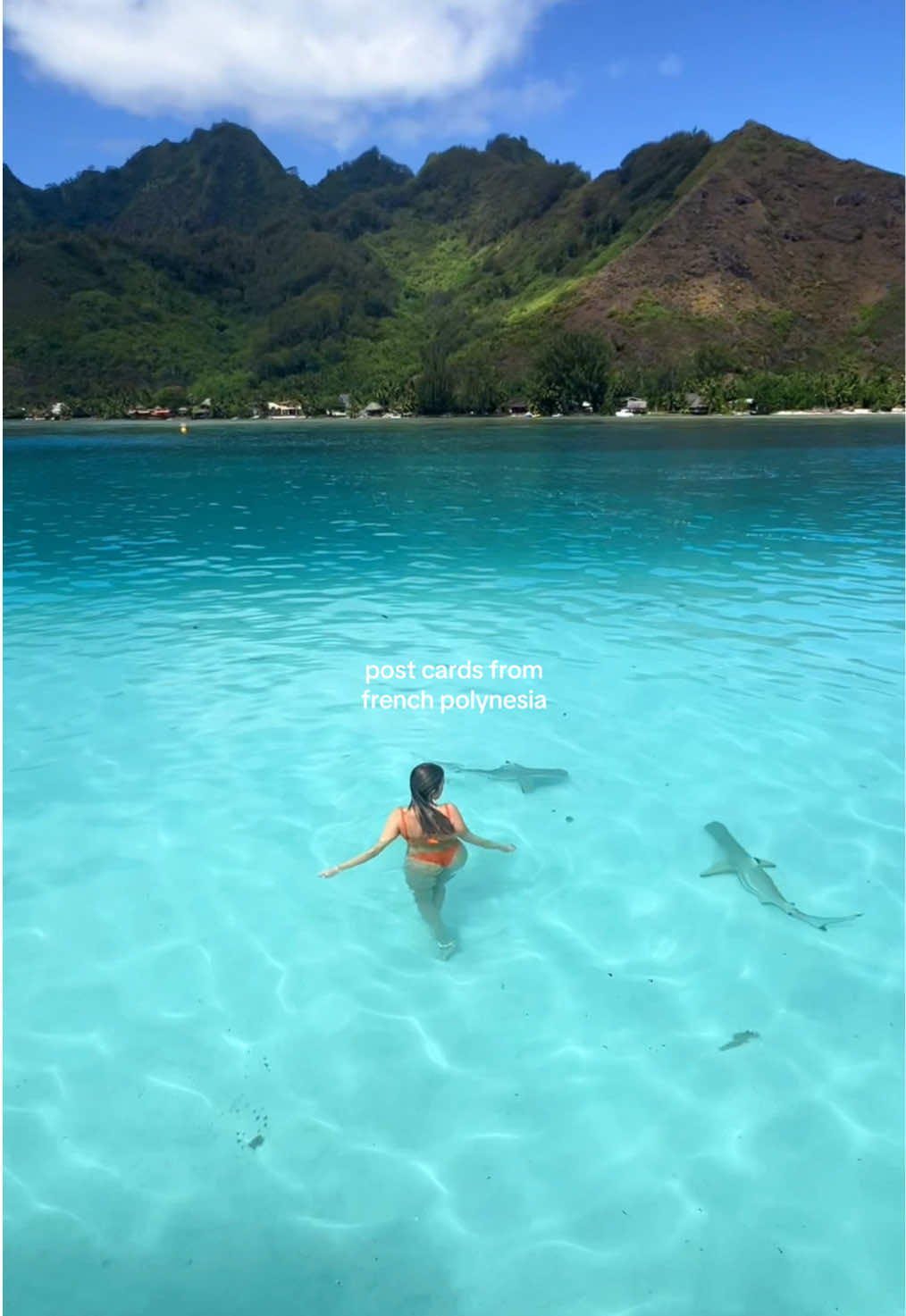 @Aimee Bell - Travel & Life