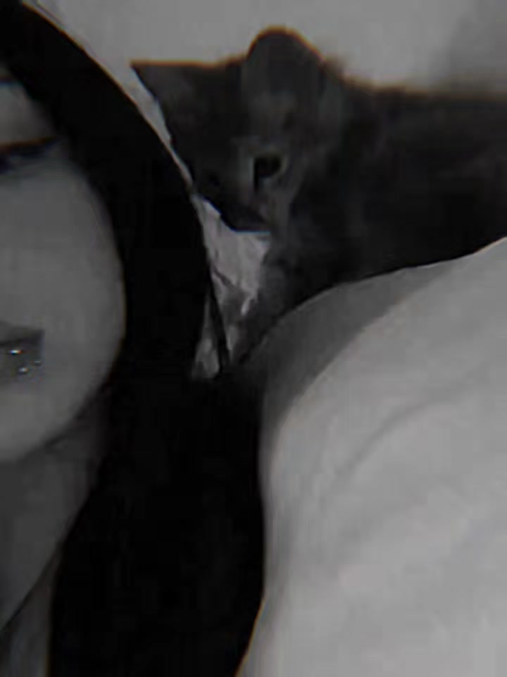 @##zetsu