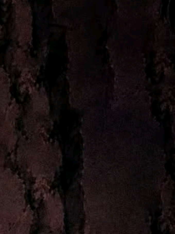 @𝙱𝙸𝙰 𖦤